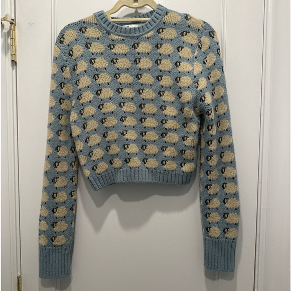 Zara Sweaters - Zara goat sweater
